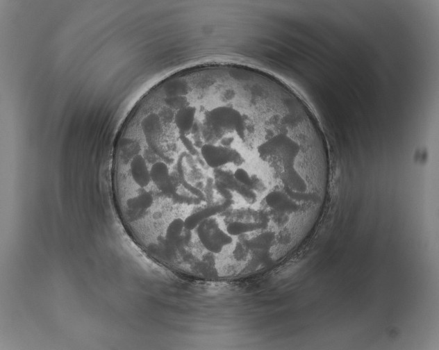 X0000114550903200911091153