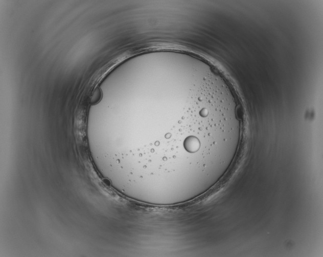 X0000114550905200911091153