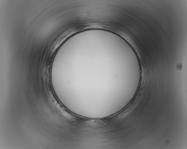 X0000114550906200911091153