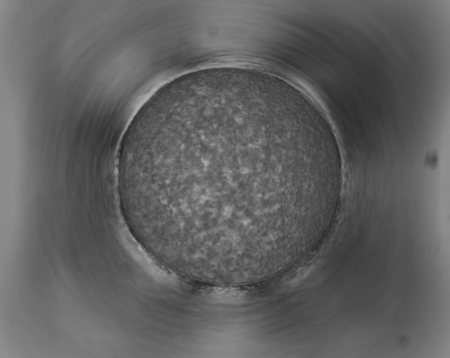 X0000114550907200911091153