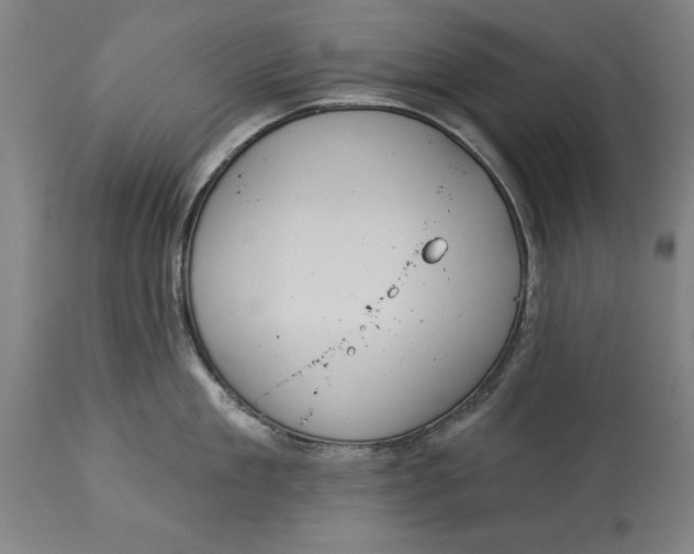 X0000114550909200911091153