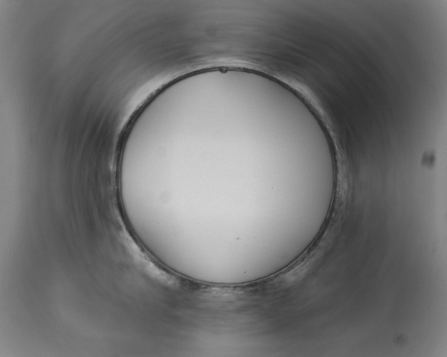 X0000114550910200911091153