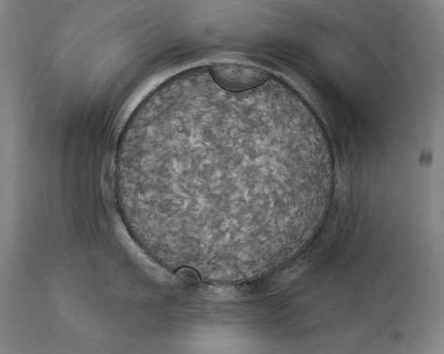 X0000114550911200911091153