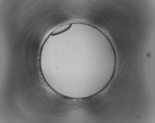 X0000114550912200911091153
