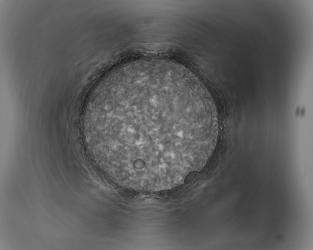X0000114550913200911091152