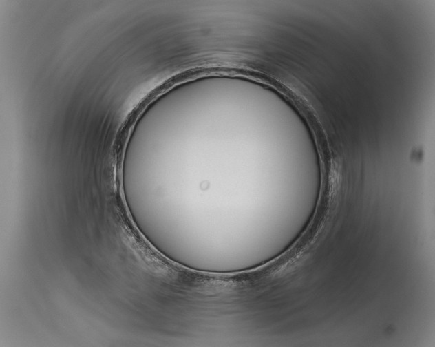 X0000114550925200911091152