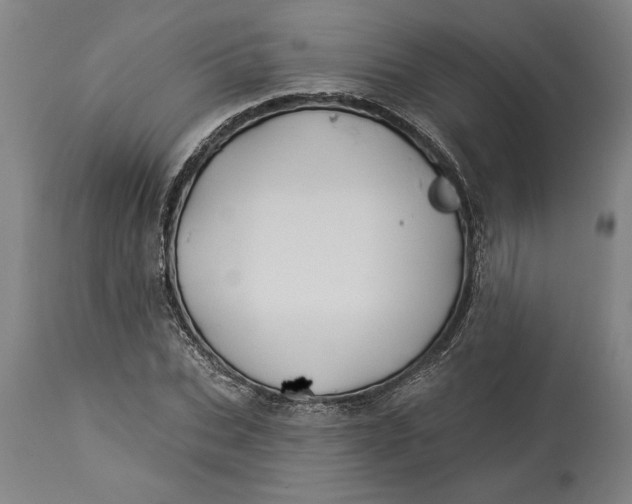 X0000114550927200911091152