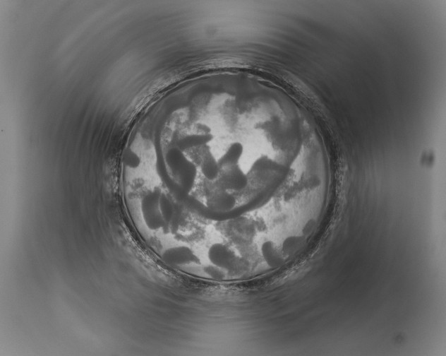 X0000114550929200911091152