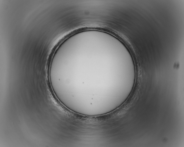 X0000114550935200911091152