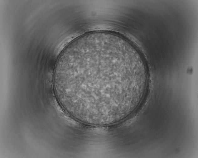 X0000114550937200911091152