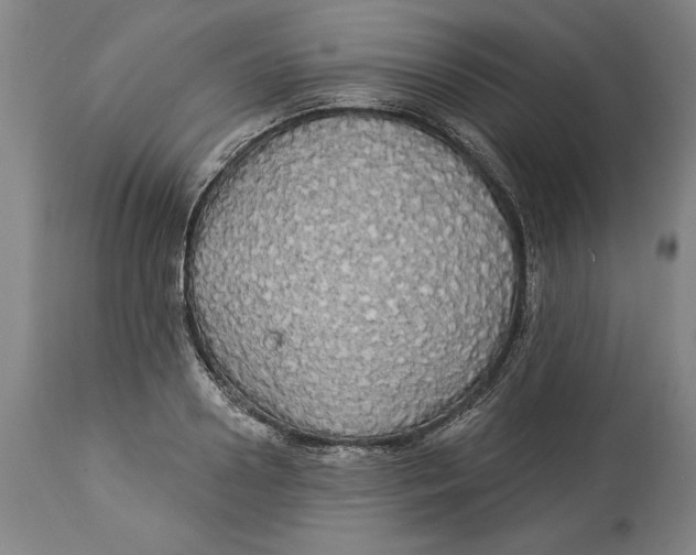 X0000114550938200911091152
