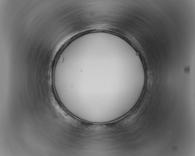 X0000114550939200911091152