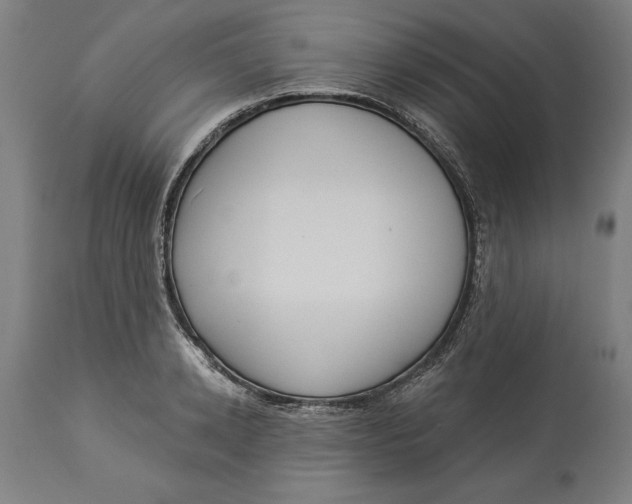 X0000114550942200911091152