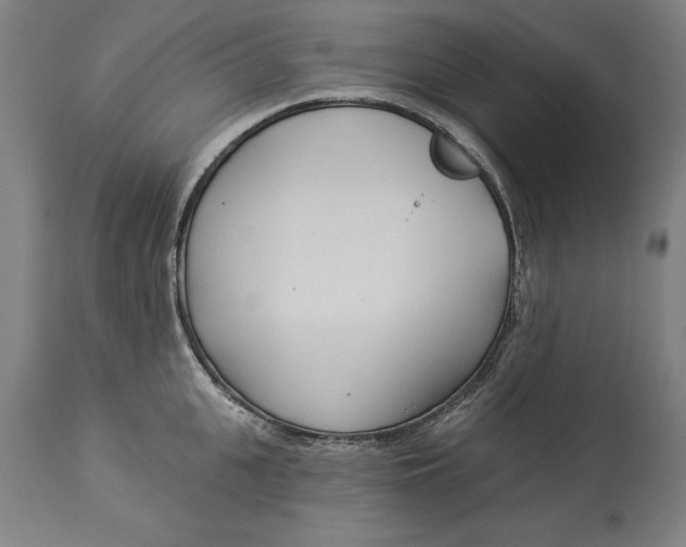 X0000114550951200911091152