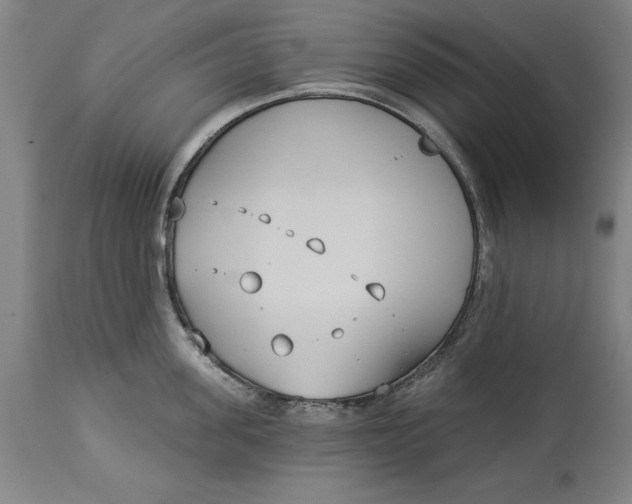 X0000114550955200911091153
