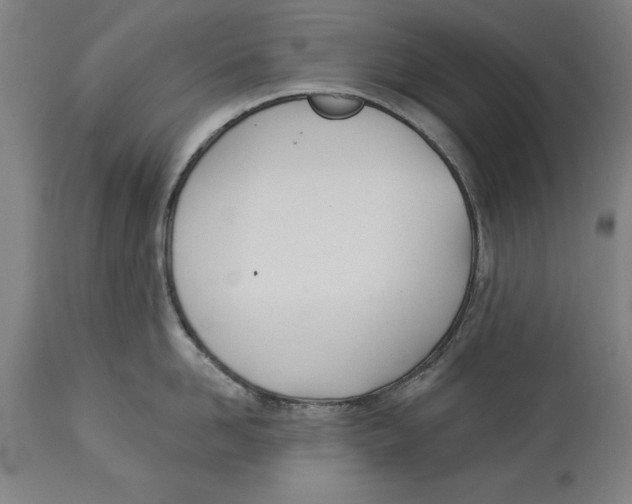 X0000114550958200911091153