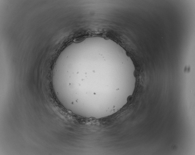 X0000114550961200911091152