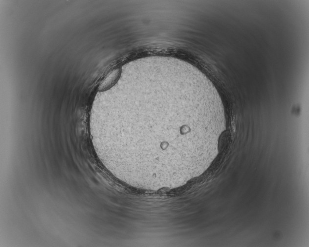 X0000114550964200911091152