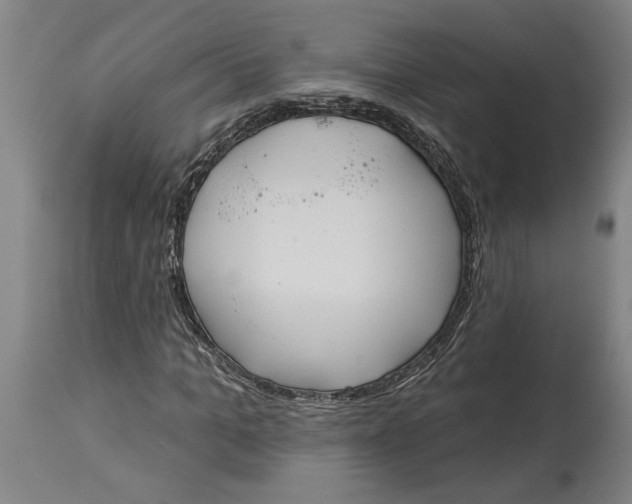 X0000114550965200911091152