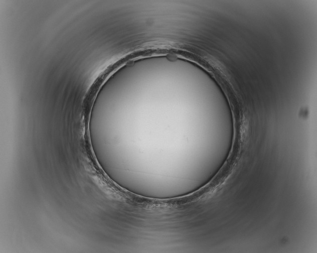 X0000114550973200911091152
