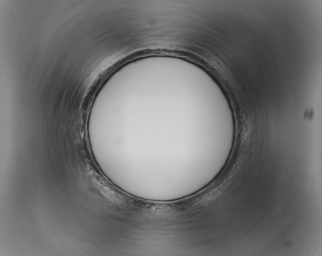 X0000114550974200911091152