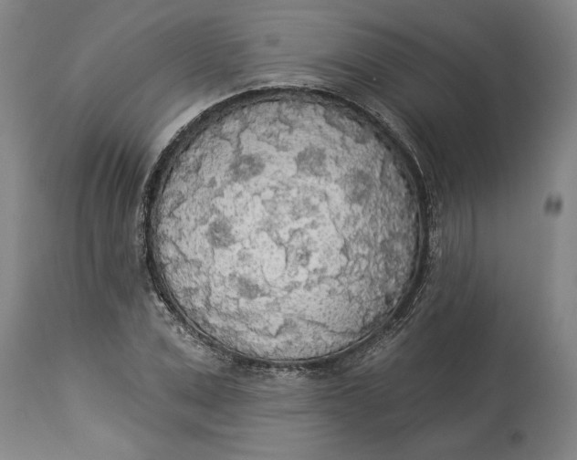 X0000114550975200911091152