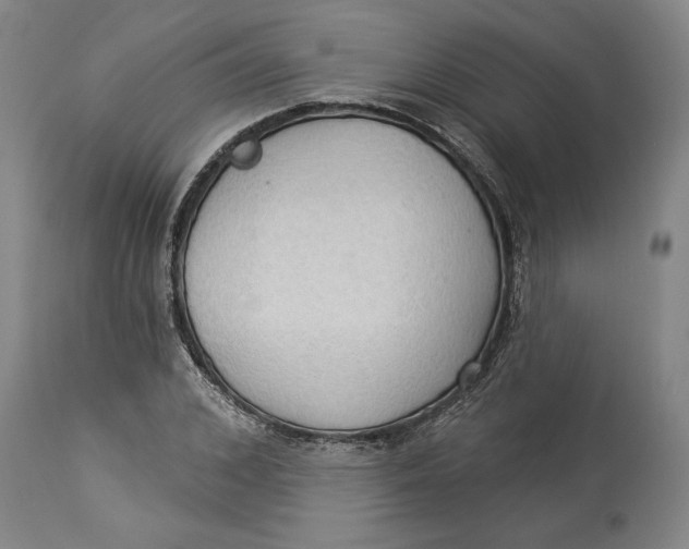 X0000114550976200911091152