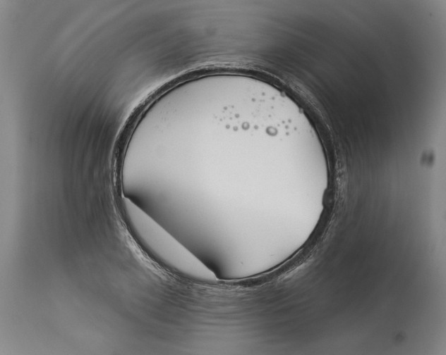 X0000114550981200911091152