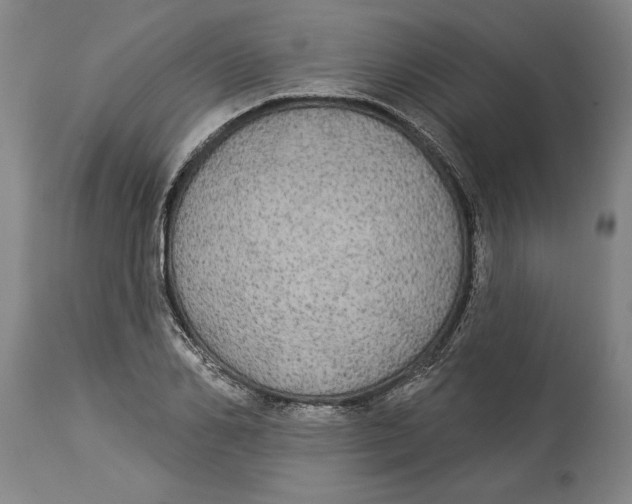 X0000114550982200911091152
