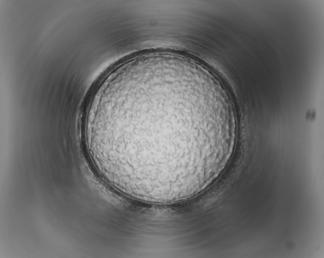 X0000114550983200911091152