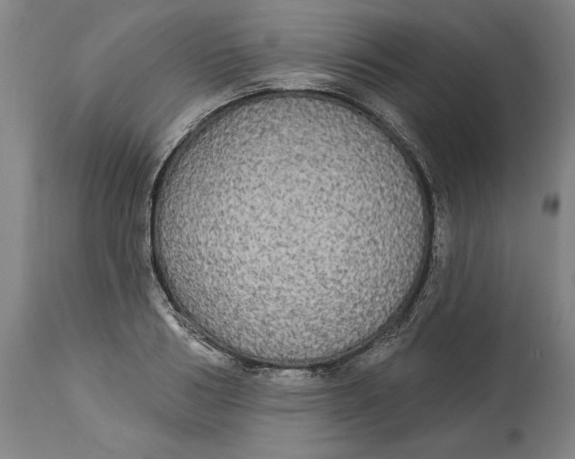 X0000114550986200911091152