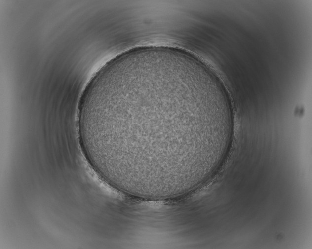 X0000114550990200911091152