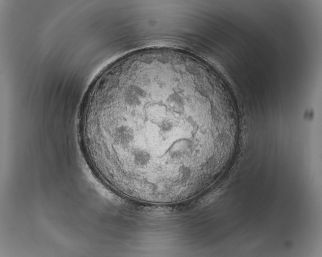 X0000114550991200911091152