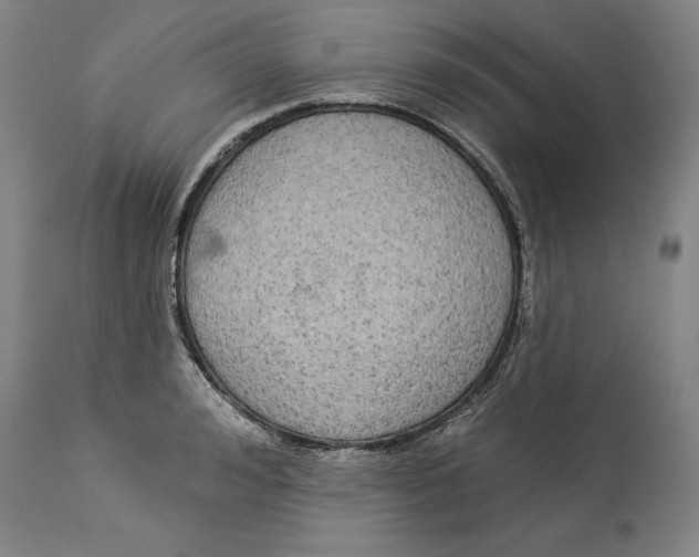 X0000114550992200911091152