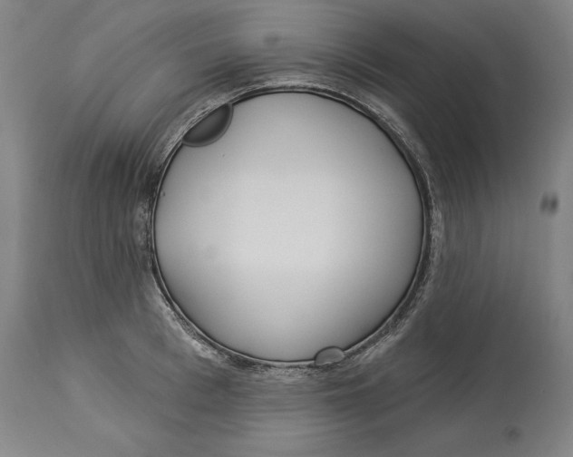 X0000114550993200911091151
