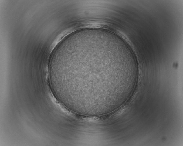 X0000114550994200911091151