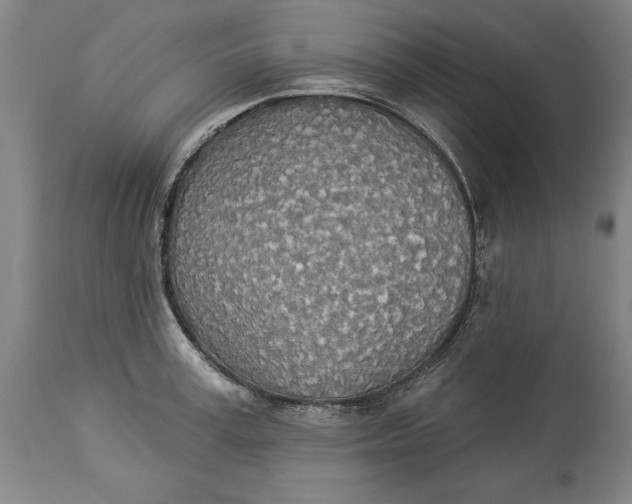 X0000114550995200911091151