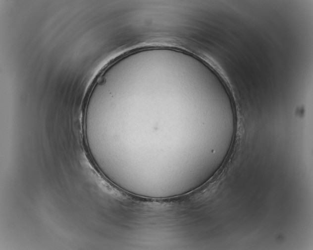 X0000114550996200911091151