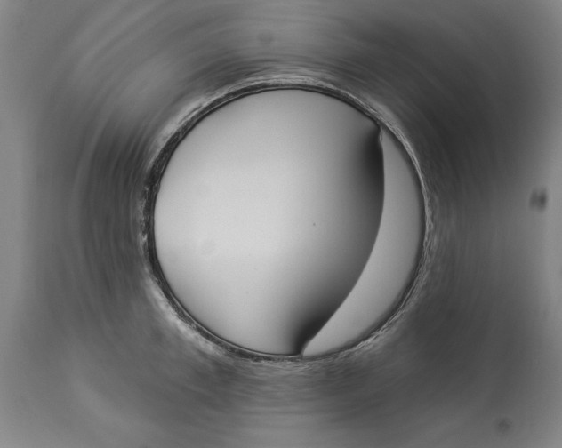 X0000114550997200911091151