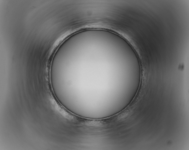 X0000114550998200911091151