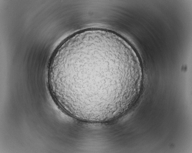 X0000114550999200911091151