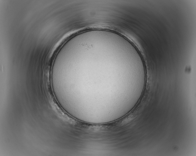X0000114551000200911091151