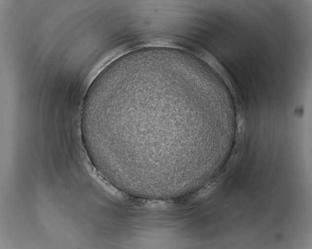 X0000114551002200911091151