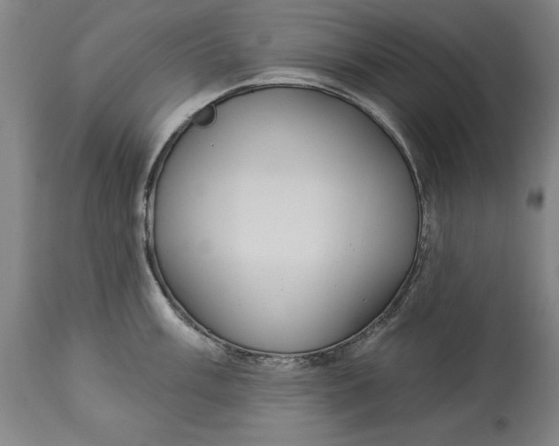 X0000114551003200911091151