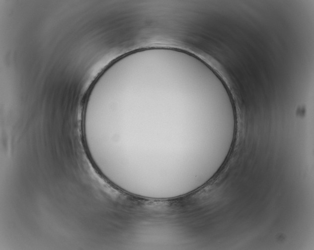 X0000114551006200911091151