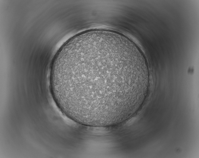 X0000114551007200911091151