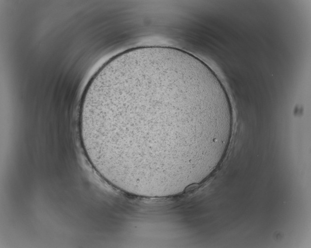 X0000114551008200911091151