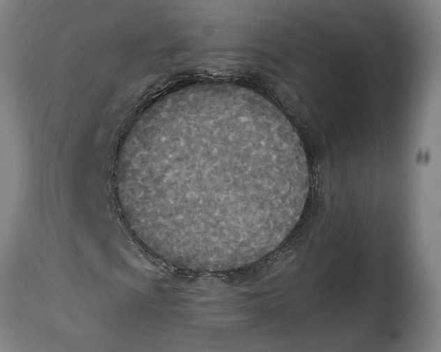 X0000114551009200911091151