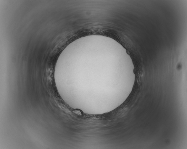 X0000114551010200911091151