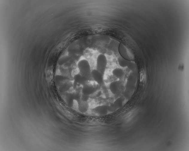 X0000114551011200911091151